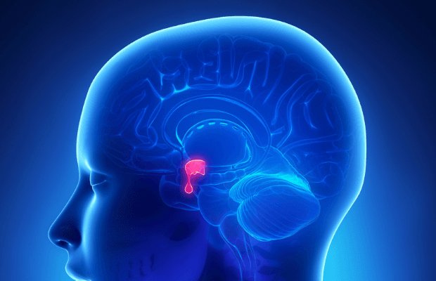 性早熟還分真假？搞懂中樞性與周邊性性早熟的差別